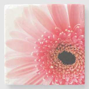 Gerbera Daisy Stone Coaster