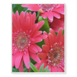 Gerbera Daisy Temporary Tattoos