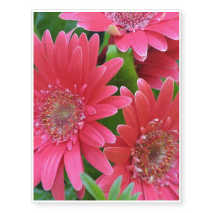 Gerbera Daisy Temporary Tattoos