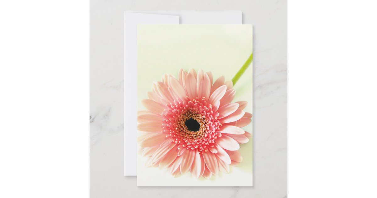 Gerbera Daisy Thank You Card | Zazzle