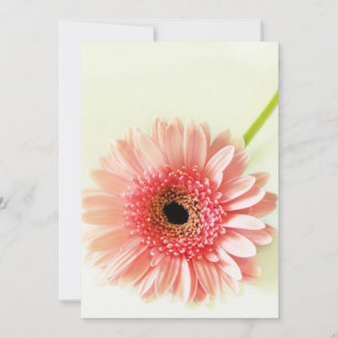 Gerbera Daisy Thank You Card