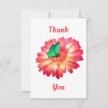 Gerbera Daisy Thank You cards