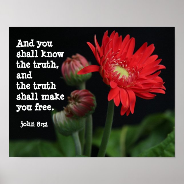 Gerbera Daisy w/ Scripture Verse (john 8:32) Poster (Front)