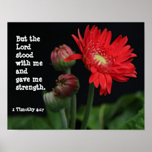 Gerbera Daisy w/ Scripture Verse (Timothy  4:17) Poster