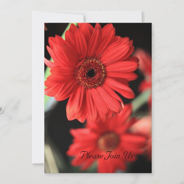 Gerbera Delight Invitation (Front)