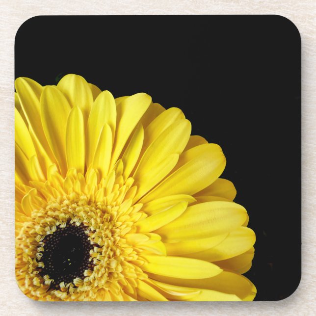 Gerbera Flower Beverage Coaster (Front)