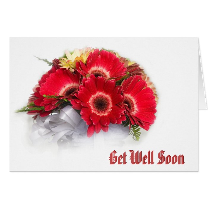 Gerbera Flowers Get Well Soon Greeting Card