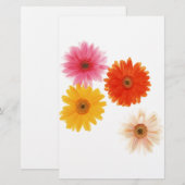 Gerbera Flowers Print Floating Flower Daisy Floral (Front/Back)