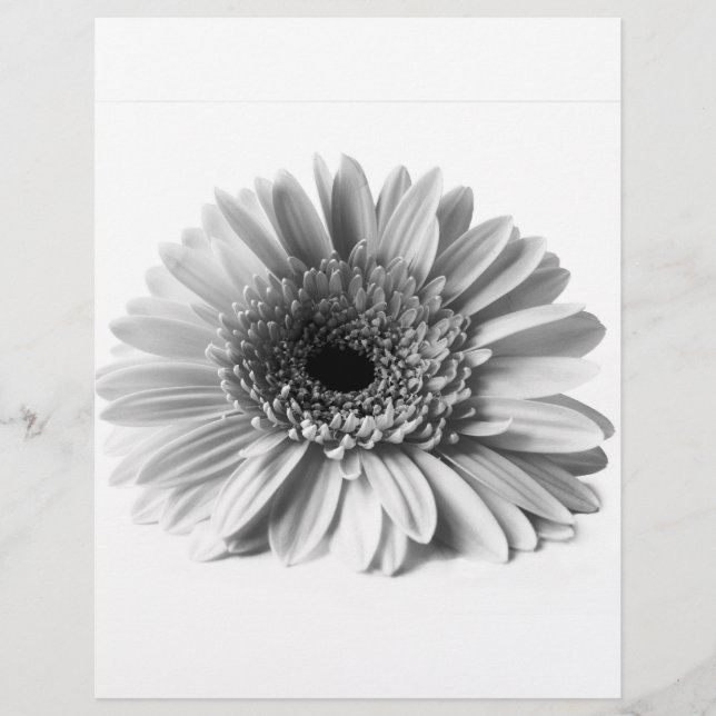 Gerbera Flyer (Front)