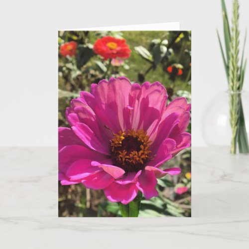 gerbera greeting card blank inside