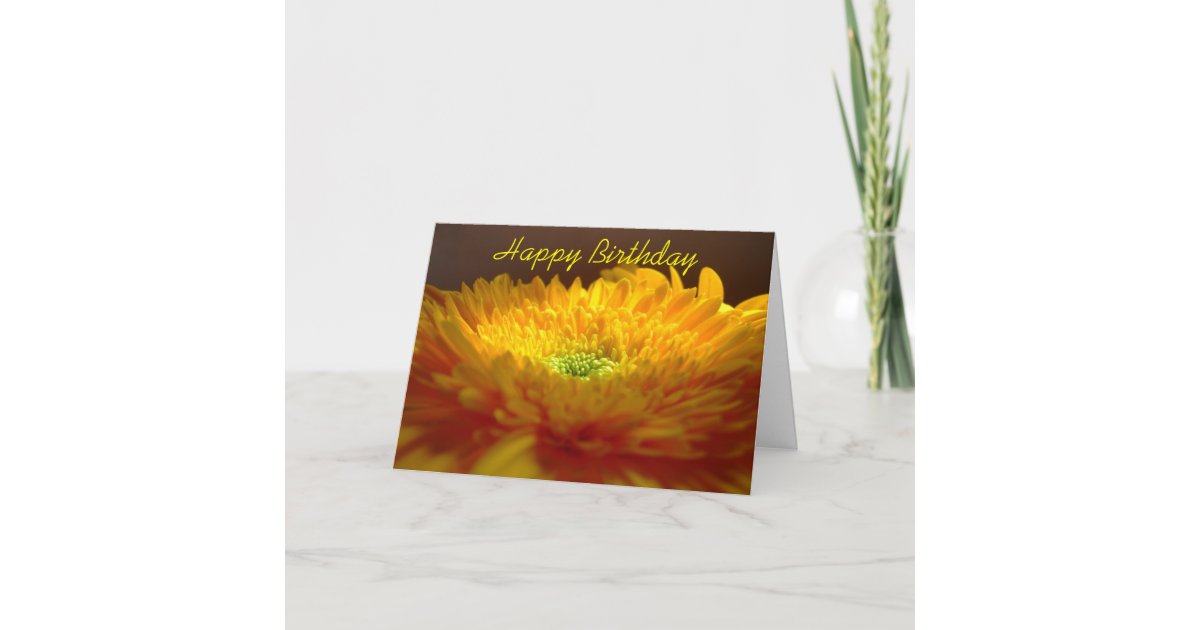Gerbera Happy Birthday Card | Zazzle