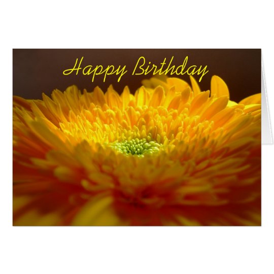 Gerbera Happy Birthday Card
