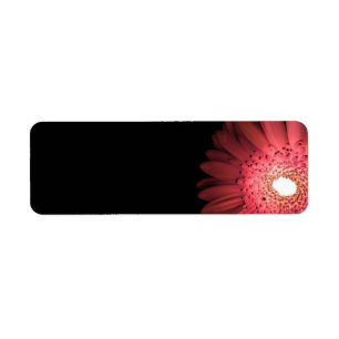 Gerbera Label