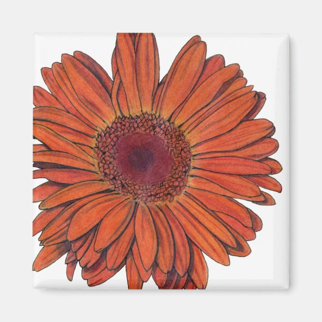 Gerbera Magnet (Front)