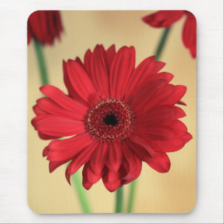 Gerbera Mouse Pad