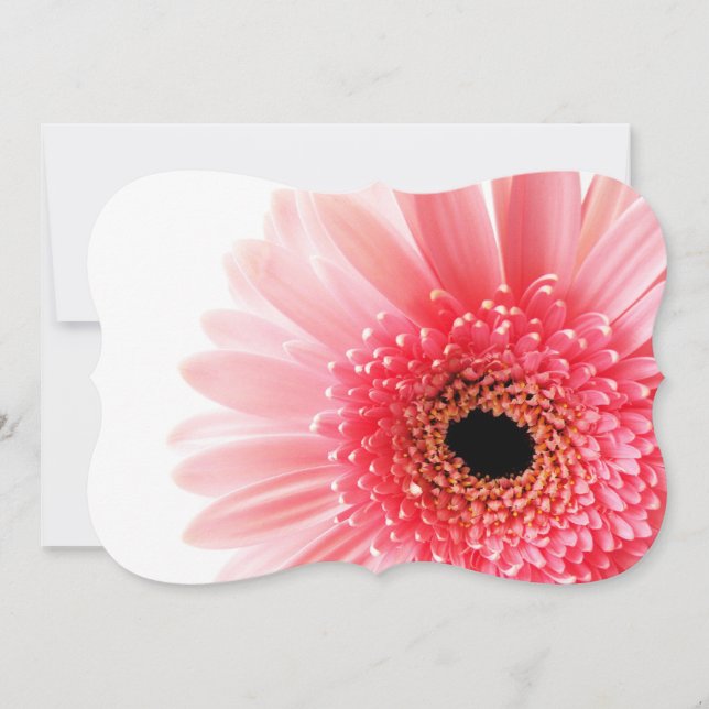 Gerbera Note Card (Front)