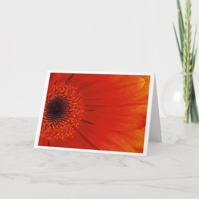 Gerbera - Orange Card (Front)