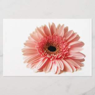 Gerbera Stationery