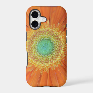 Gerbera Sun iPhone 17 Case