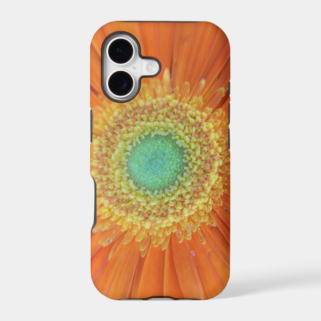 Gerbera Sun Iphone Case (Back)