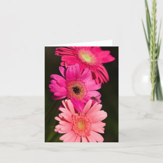 Gerberas Card