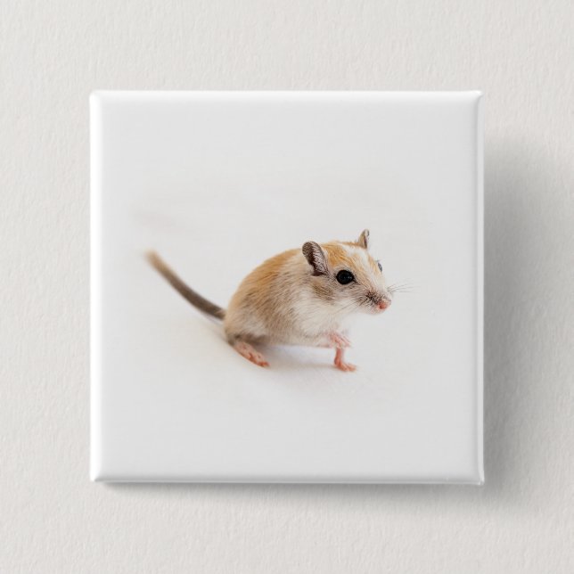 Gerbil Cute Baby Animal Pet Gerbils Template Button (Front)