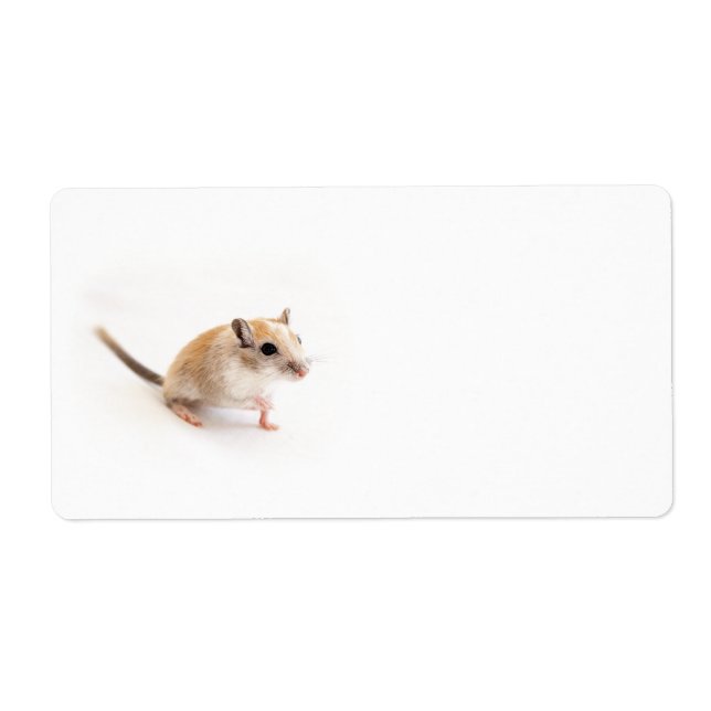 Gerbil Cute Baby Animal Pet Gerbils Template Label (Front)