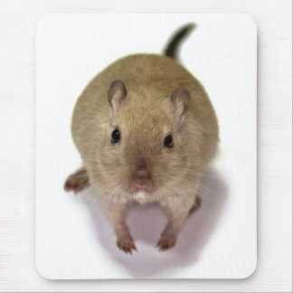 Gerbil Mousemat Mouse Pad