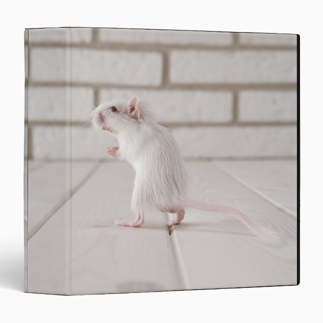 Gerbil standing binder (Front/Spine)