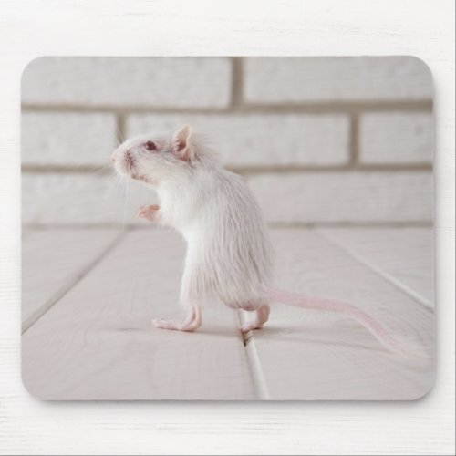 Gerbil standing mouse pad