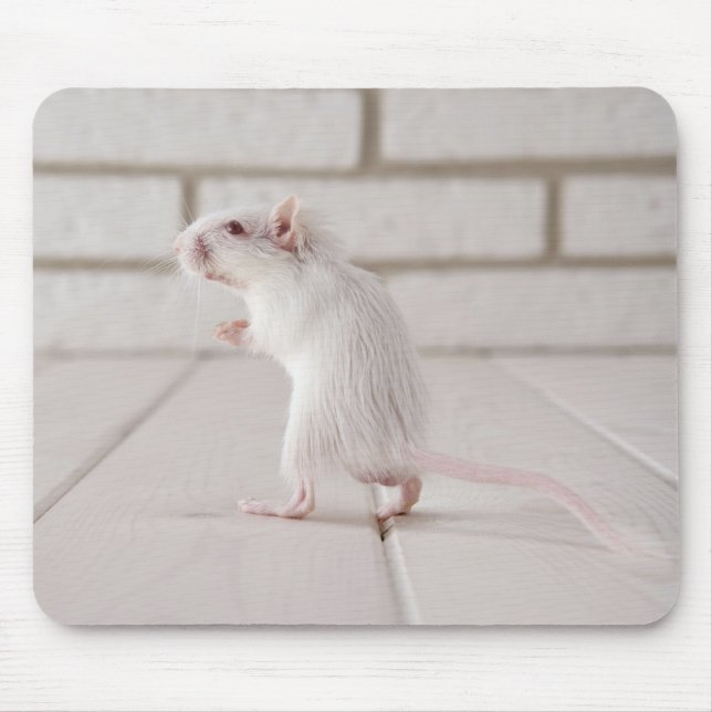 Gerbil standing mouse pad (Front)