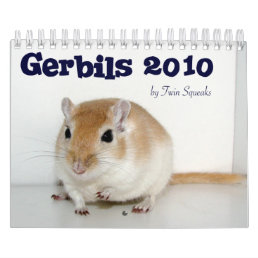 Gerbils 2010 calendar