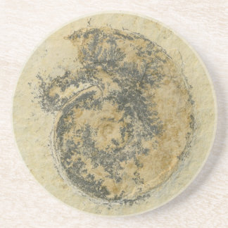 German Ammonite with Dendrites Drink Coaster