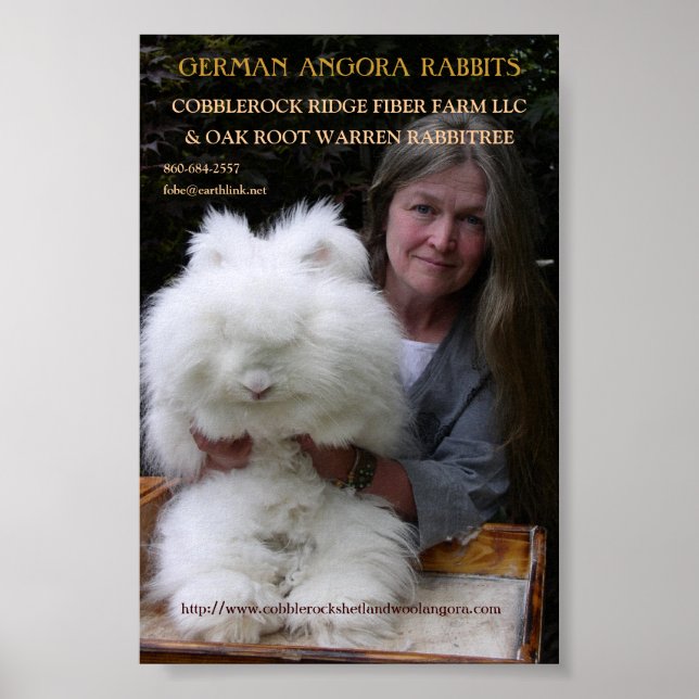 GERMAN ANGORA RABBIT MAG. ADD. POSTER (Front)