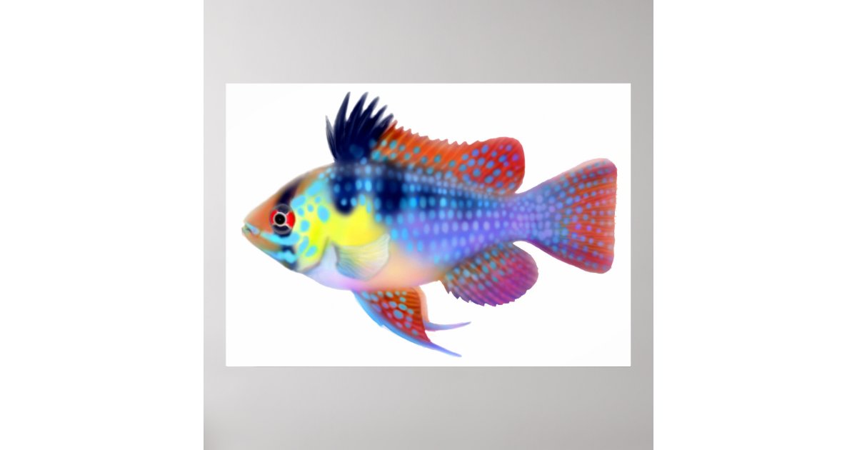 electric blue ram cichlid