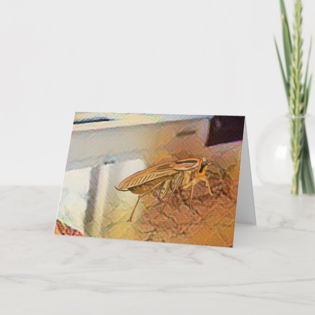 German Cockroach 🪳  Letterpress Thank You Card (Front)