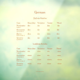 German Definite & Indefinite Articles Grammar  Window Cling