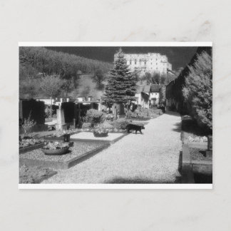 German Graveyard with black cat walking through. Postcard