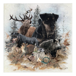 German Hunting Terrier (Jagdterrier) Acrylic Print