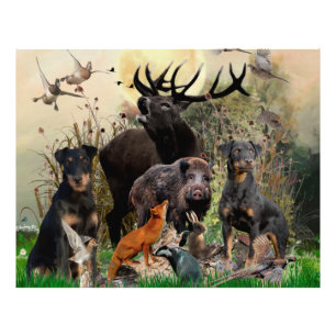 German Hunting Terrier (Jagdterrier) Photo Print