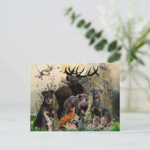 German Hunting Terrier (Jagdterrier) Postcard