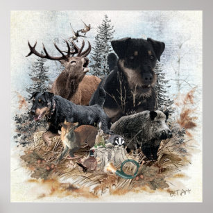 German Hunting Terrier (Jagdterrier)   Poster
