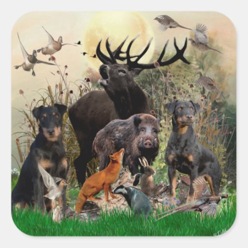 German Hunting Terrier Jagdterrier    Square Sticker