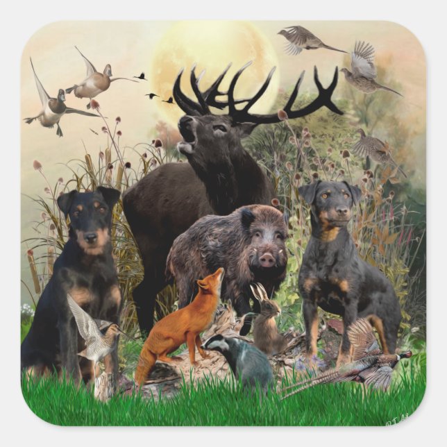 German Hunting Terrier (Jagdterrier)    Square Sticker (Front)