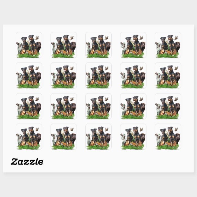 German Hunting Terrier (Jagdterrier)  Square Sticker (Sheet)