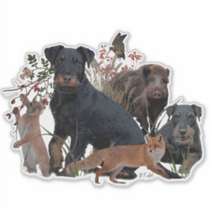 German Hunting Terrier (Jagdterrier)   Sticker
