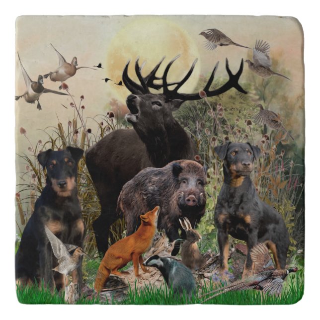 German Hunting Terrier (Jagdterrier) Trivet (Front)