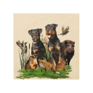 German Hunting Terrier (Jagdterrier)   Wood Wall Art