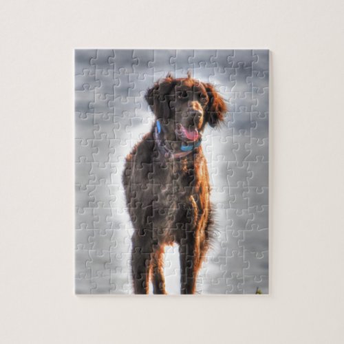 German Longhaired Pointer Dog HDR Photo Jigsaw Puzzle