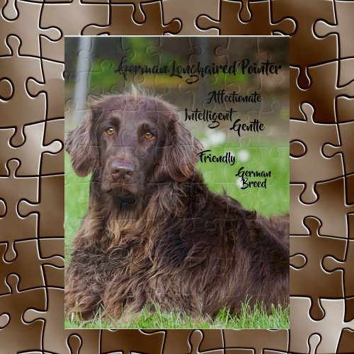 German Longhaired Pointer Dog Jigsaw Puzzle Game